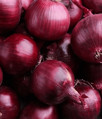 Indian Onion