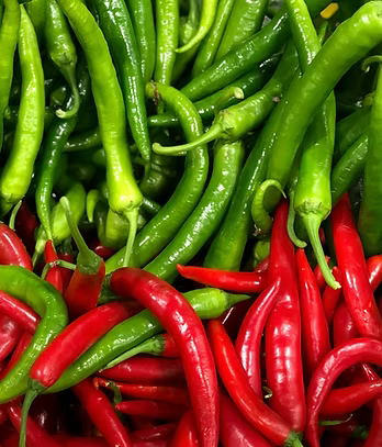 Red Chilli